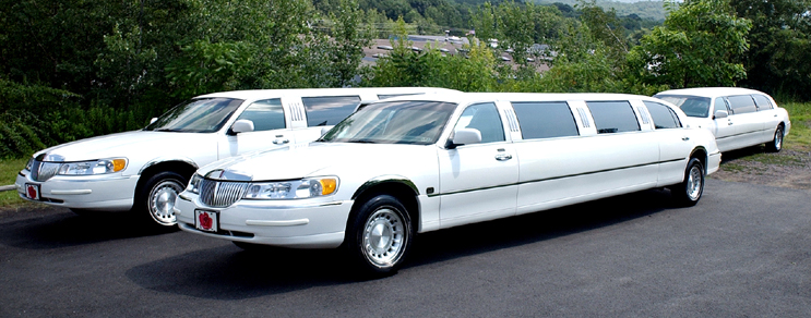Lincoln Stretch